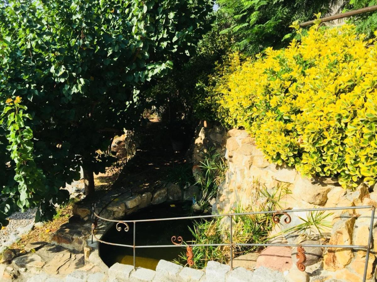 Palacete Orrius Dış mekan fotoğraf